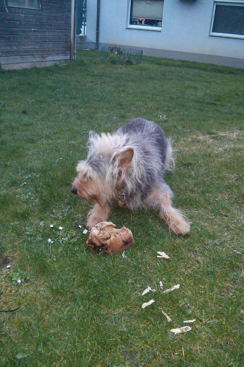 2014-03-26 18-10-53.JPG